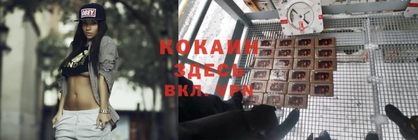 крисы Вязьма
