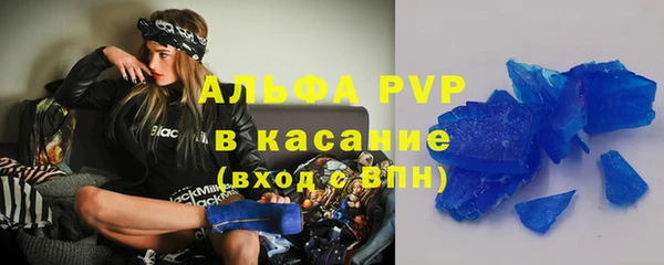 крисы Вязьма