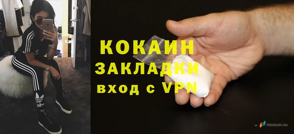 крисы Вязьма
