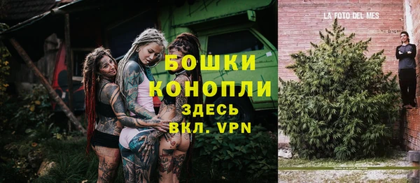 круглые Вяземский