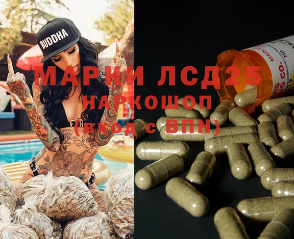 крисы Вязьма