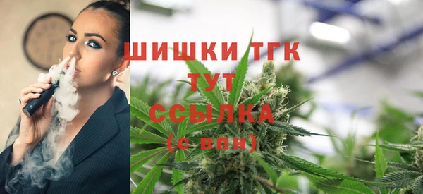 крисы Вязьма
