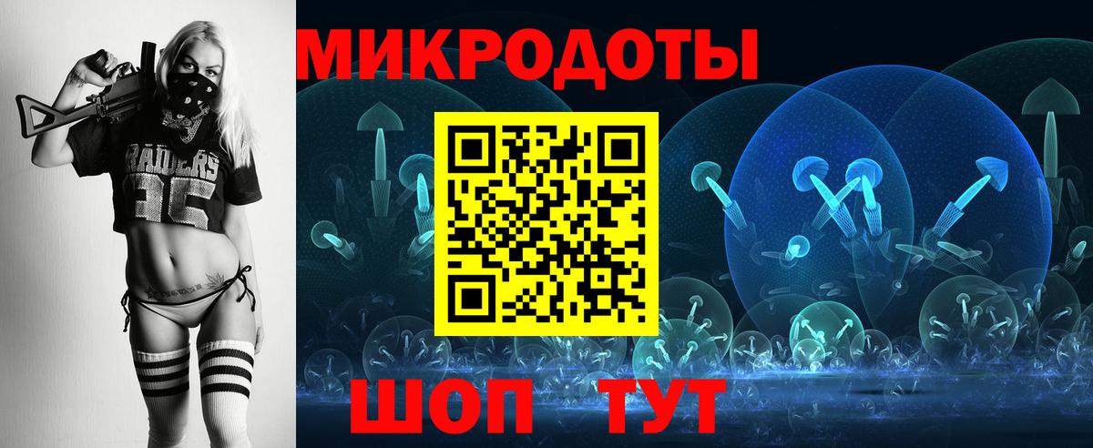 Псилоцибиновые грибы Cubensis Железногорск