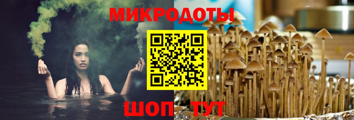 Железногорск  Галлюциногенные грибы мицелий  Псилоцибиновые грибы Psilocybine cubensis  Вход с VPN 